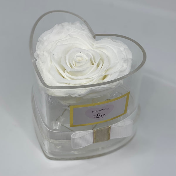 The Single XL Heart Rose & Container