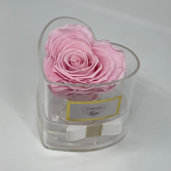 The Single XL Heart Rose & Container